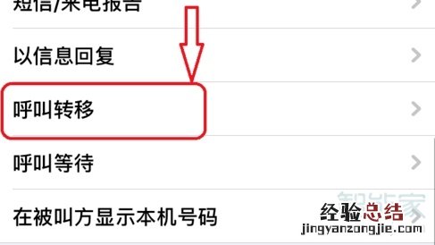 ios13语音留言怎么关闭