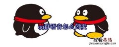 qq群语音怎么闭麦