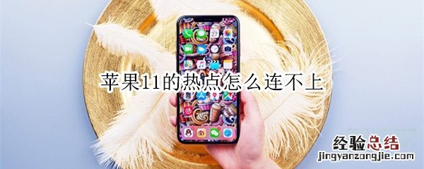 苹果11的热点怎么连不上