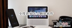 小度在家怎么删除软件