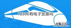 12306有电子发票吗