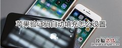 苹果验证码自动填充怎么设置