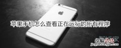 苹果手机怎么查看正在运行的所有程序