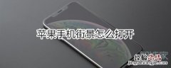 苹果手机街景怎么打开