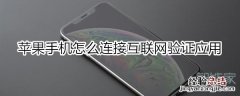 苹果手机怎么验证应用怎么连接互联网验证
