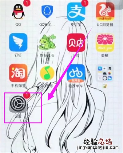 苹果6plus中打开个人热点的简单步骤