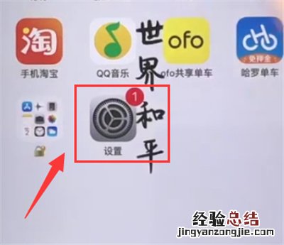 苹果6plus中进行设置时间的方法步骤