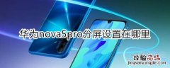 nova5pro分屏设置在哪里