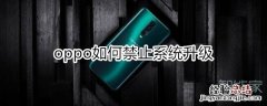 oppo如何禁止系统升级