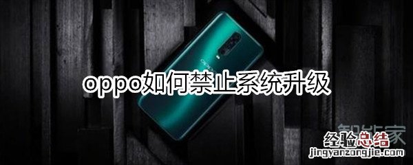 oppo如何禁止系统升级