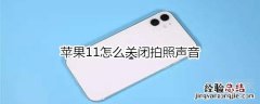 苹果11怎么关闭拍照声音