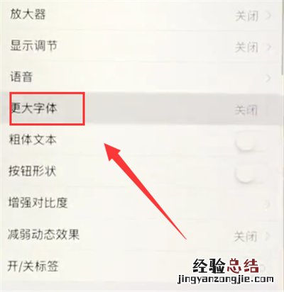 苹果6plus中调小字体的操作步骤