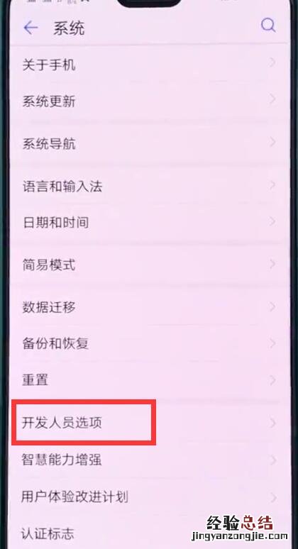 华为p20中打开开发人员选项的操作步骤