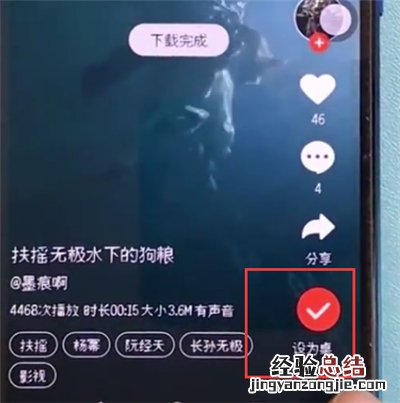荣耀10中设置动态壁纸的简单方法