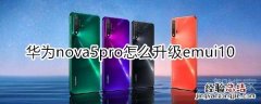 nova5pro怎么升级emui10