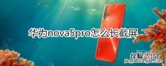 nova5pro怎么长截屏