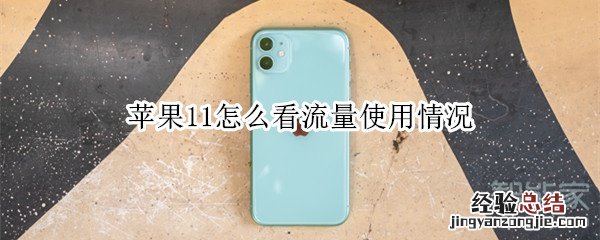 苹果11怎么看流量使用情况