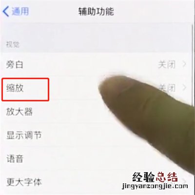 iphonex中使用缩放的操作步骤
