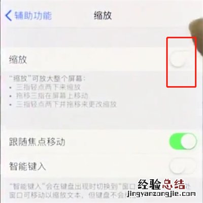 iphonex中使用缩放的操作步骤