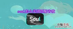 soul怎么关闭匹配音效