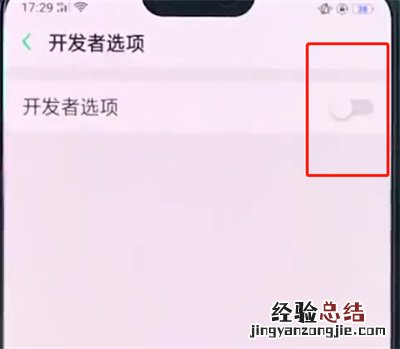 oppo手机中打开开发者选项的详细步骤