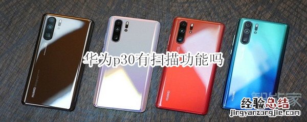 华为p30有扫描功能吗