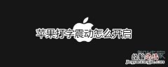苹果打字震动怎么开启