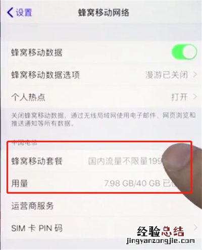 苹果手机查询移动流量的详细步骤