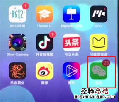 苹果手机中截长图的详细步骤