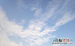 学生健康码怎么弄在哪里找申请 学生健康码怎么打印