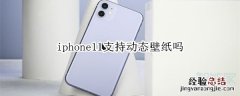 iphone11支持动态壁纸吗