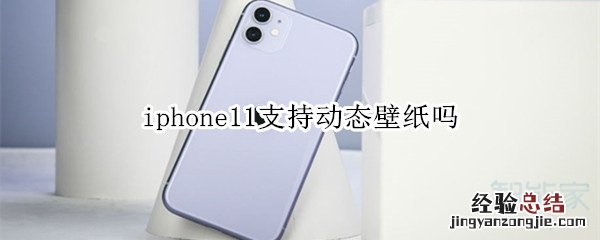 iphone11支持动态壁纸吗
