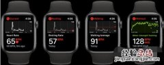 Applewatch6怎么查看心率数据？Applewatch6查看心率数据的方法