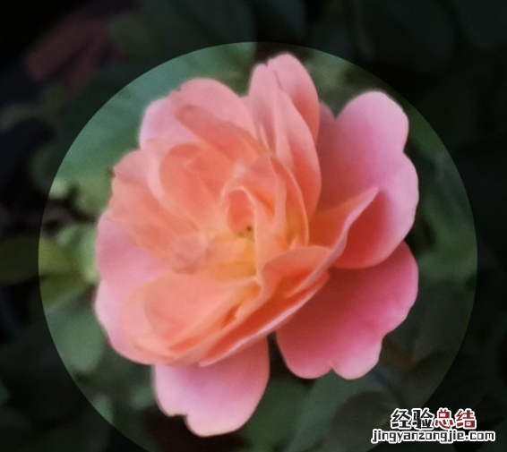 华为mate30pro中设置来电头像的简单操作方法