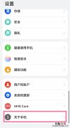 鸿蒙系统怎么进入开发者模式