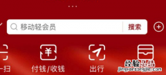 支付宝付款码皮肤怎么更换设置在哪里 付款码设置教程