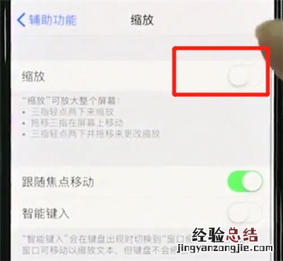 iphonexs中使用缩放的操作教程