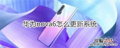 华为nova6怎么更新系统