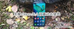 荣耀v30pro怎么设置动态壁纸