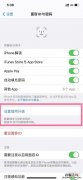 苹果面容可以设置两个人吗