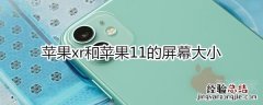 苹果xr和苹果11的屏幕大小