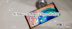华为mate30和mate30pro防水吗
