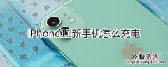 苹果11新手机怎么充电