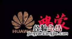 鸿蒙系统如何设置分身应用?鸿蒙系统多应用分身应用开启方法步骤