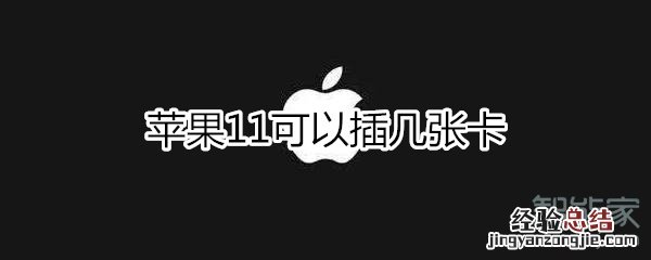 苹果11可以插几张卡