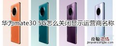 华为mate30 5G版怎么关闭运营商名称显示