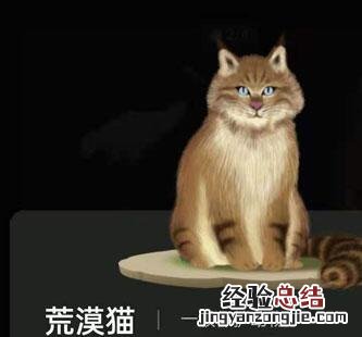 蚂蚁森林巡护动物有什么用?支付宝蚂蚁森林巡护动物怎么召回