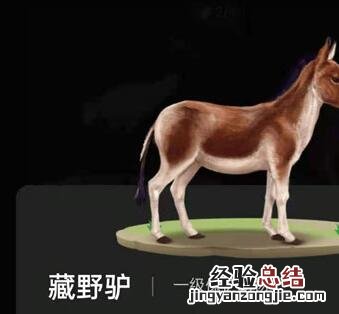 蚂蚁森林巡护动物有什么用?支付宝蚂蚁森林巡护动物怎么召回