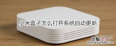 小米盒子怎么打开系统自动更新
