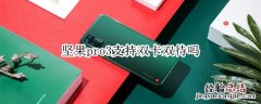坚果pro3支持双卡双待吗